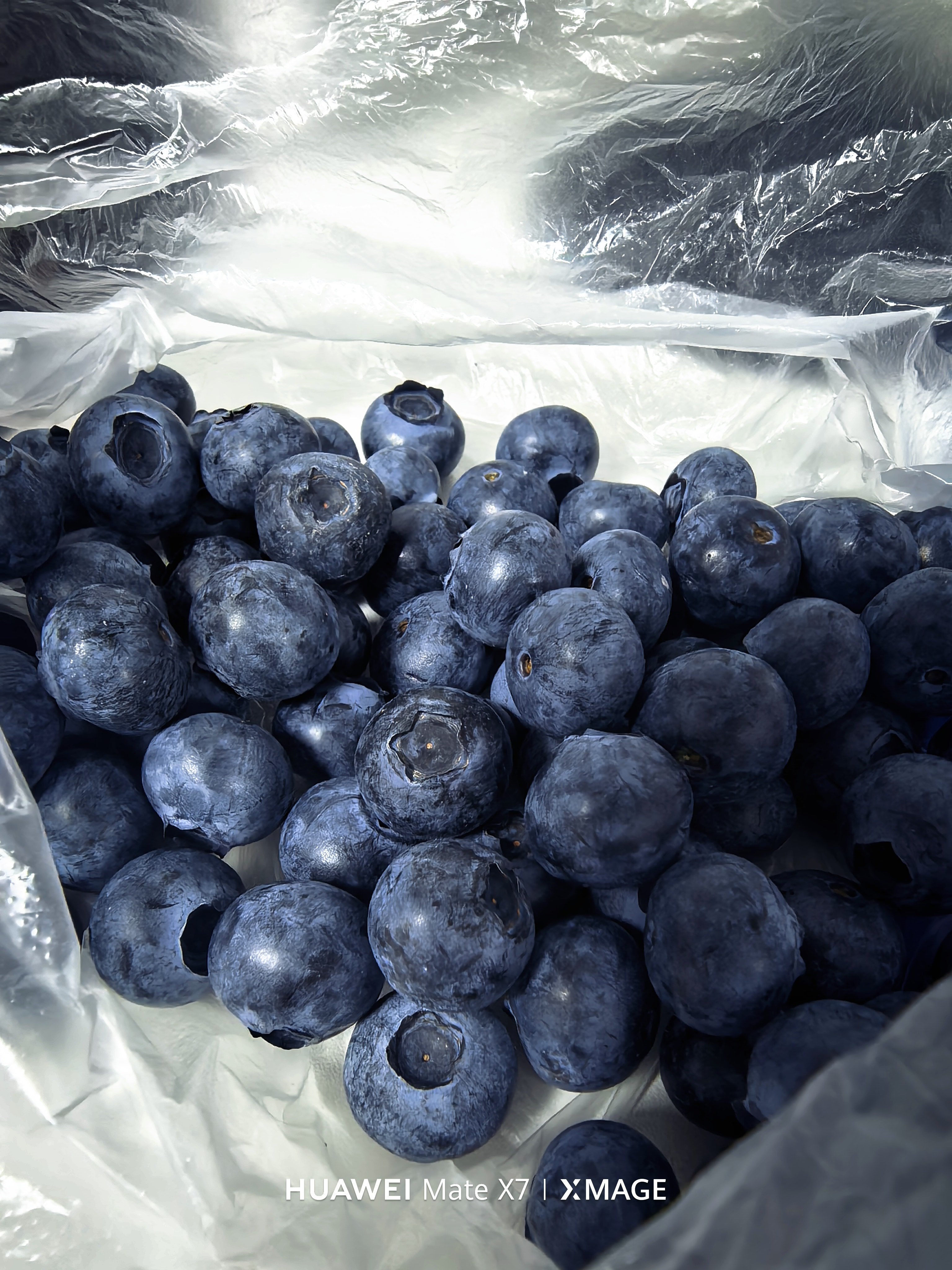 你们这辈子也吃不到这种酸蓝莓了。太酸了，酸的我流眼泪，我觉得把它全吃完！！！ 青