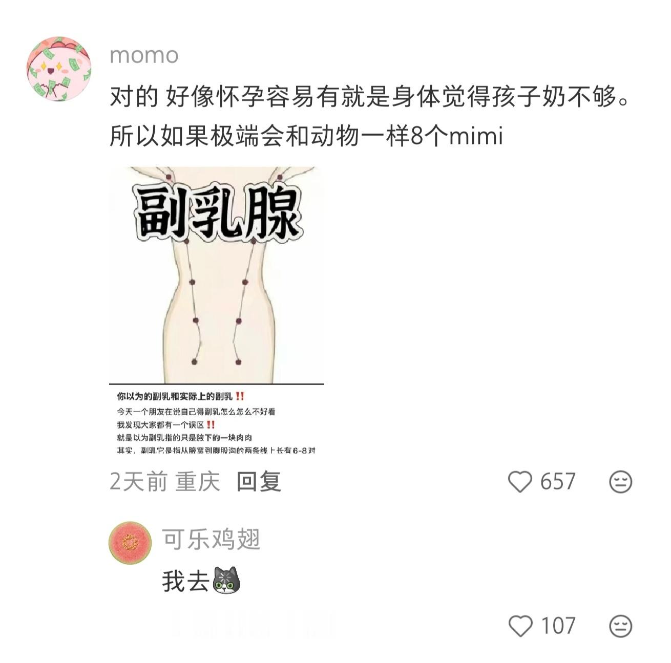 我嘞个亲娘嘞我以前以为副乳就是内衣穿着不当挤的
