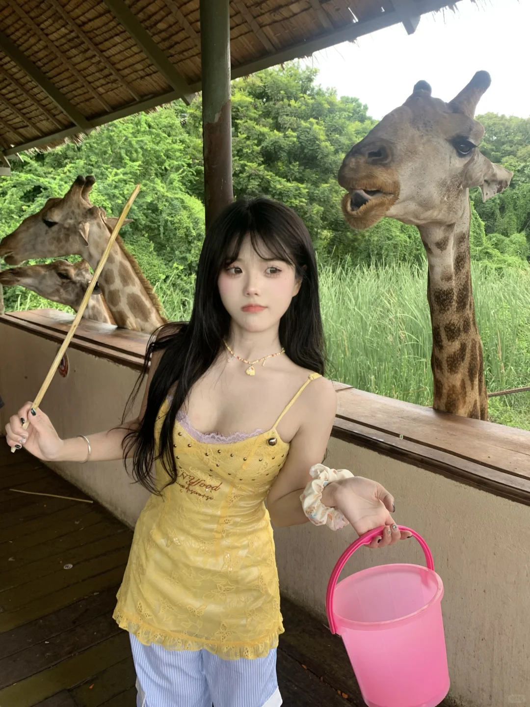 🇹🇭一日饲养员🦒