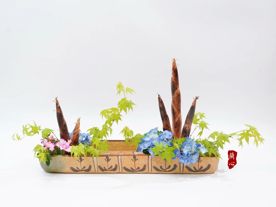 春光灿烂，韶华易逝