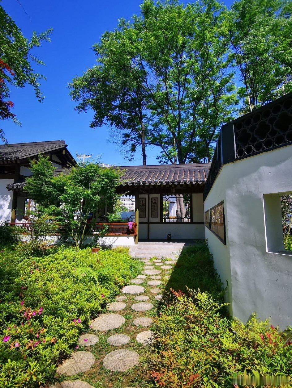 随手拍 真趣园口袋公园，布局尽显中式园林雅致，亭台楼阁古朴精巧，掩映在绿树竹影间