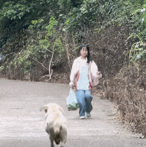 是不是帮奶奶拿陶瓷罐的那个大勤快![呲牙]