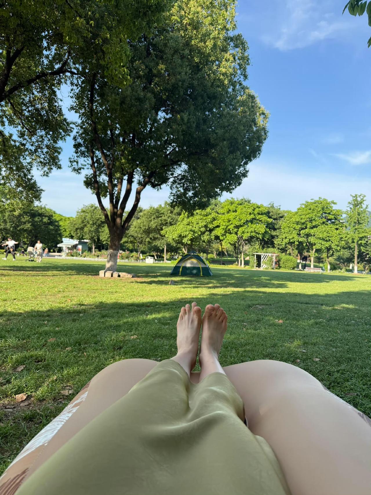 很希望自己是一棵树，一棵遮得住情绪的树。