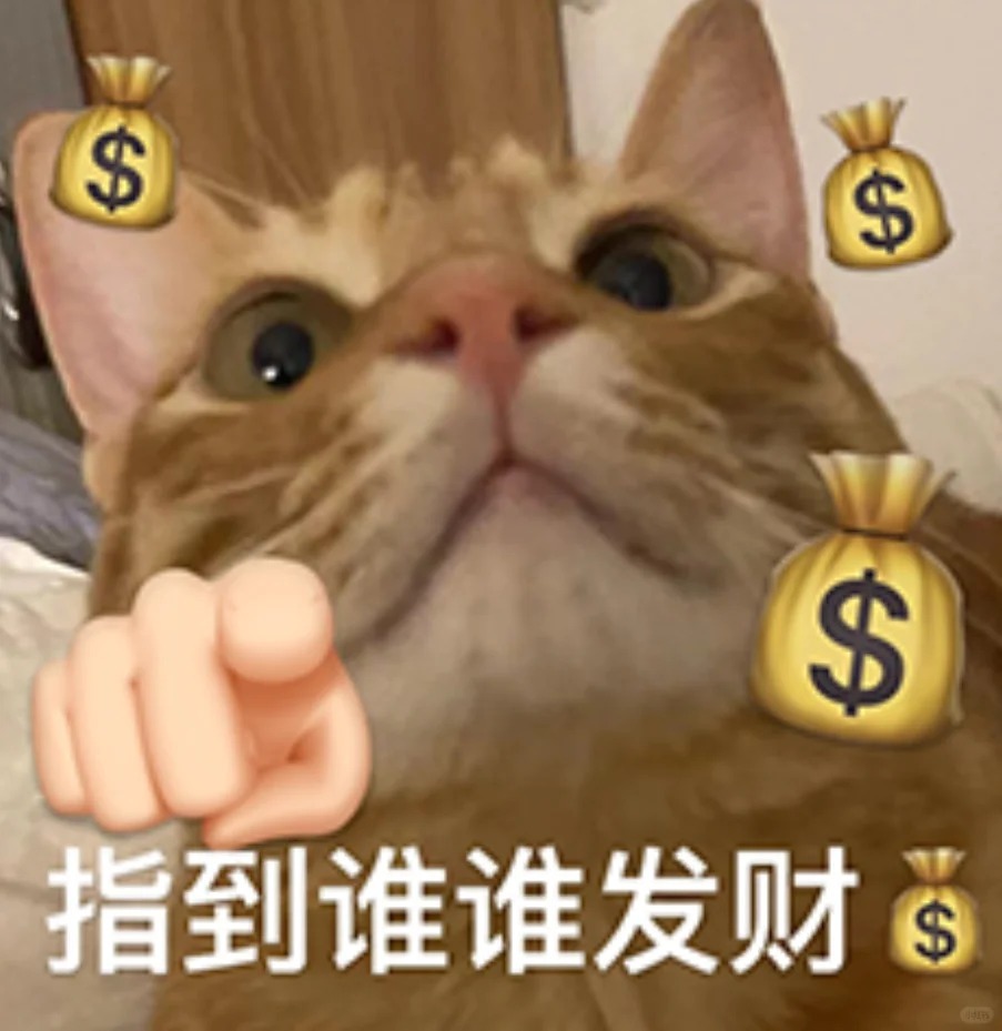 当代年轻人的搞钱双标观 有一说一努力工作是为了更好明天，但如果遇到特别想要的东西