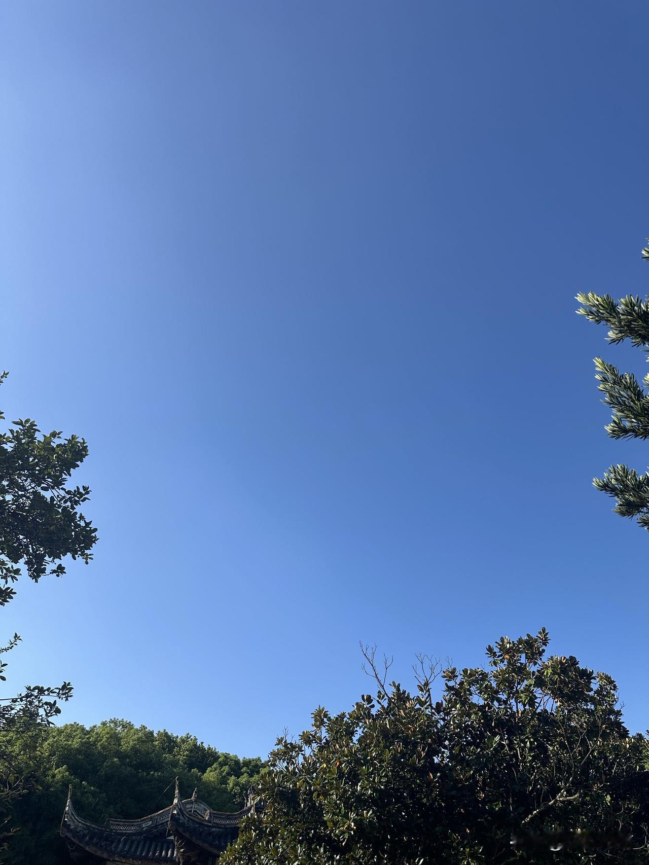 晴朗的日子，仰望这片湛蓝天空，心里也变得格外舒畅安宁。