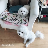 暖跑热读娱乐