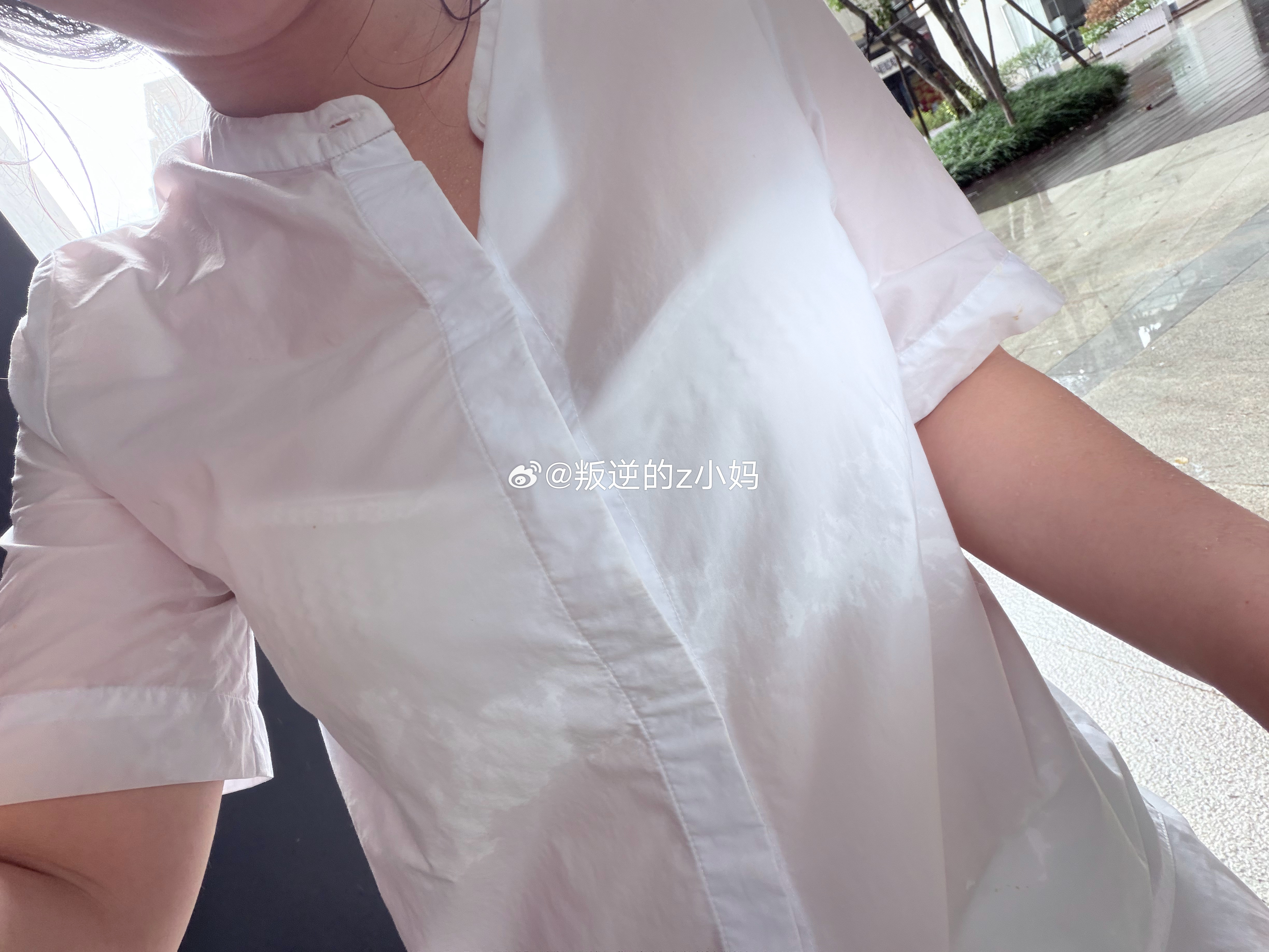 白海豚一出门就下雨 