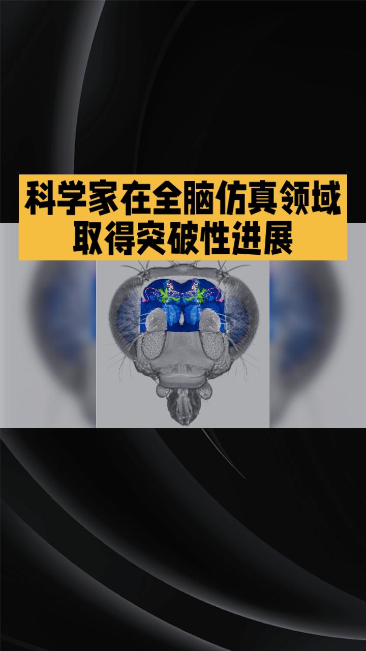 果蝇大脑被完整“上传”进电脑，模拟出真实行为，这是否预示着数字生命体时代的到来？