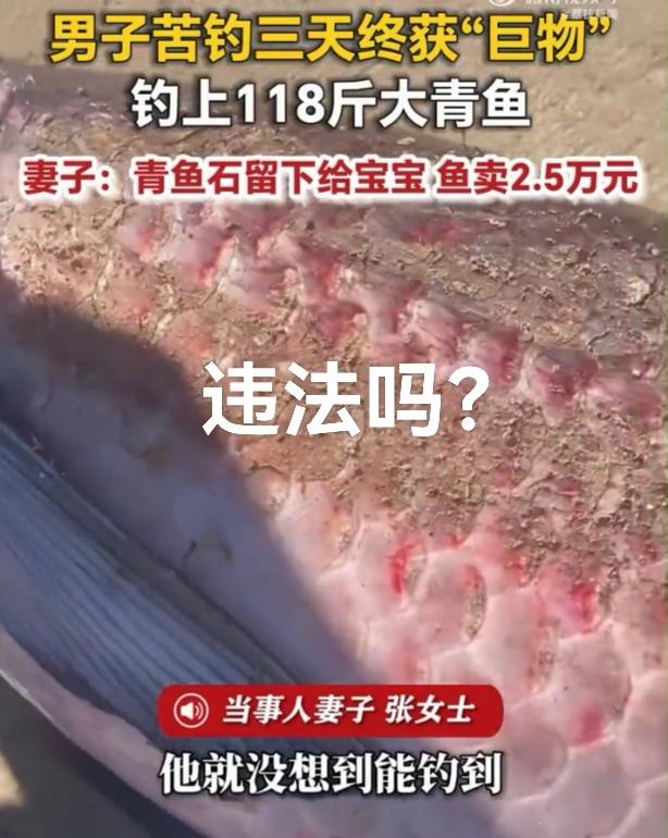 靠杀生能给孩子辟邪吗？我怎么觉得这是给孩子找事呀？那么大鱼，估计也活了好多年了，