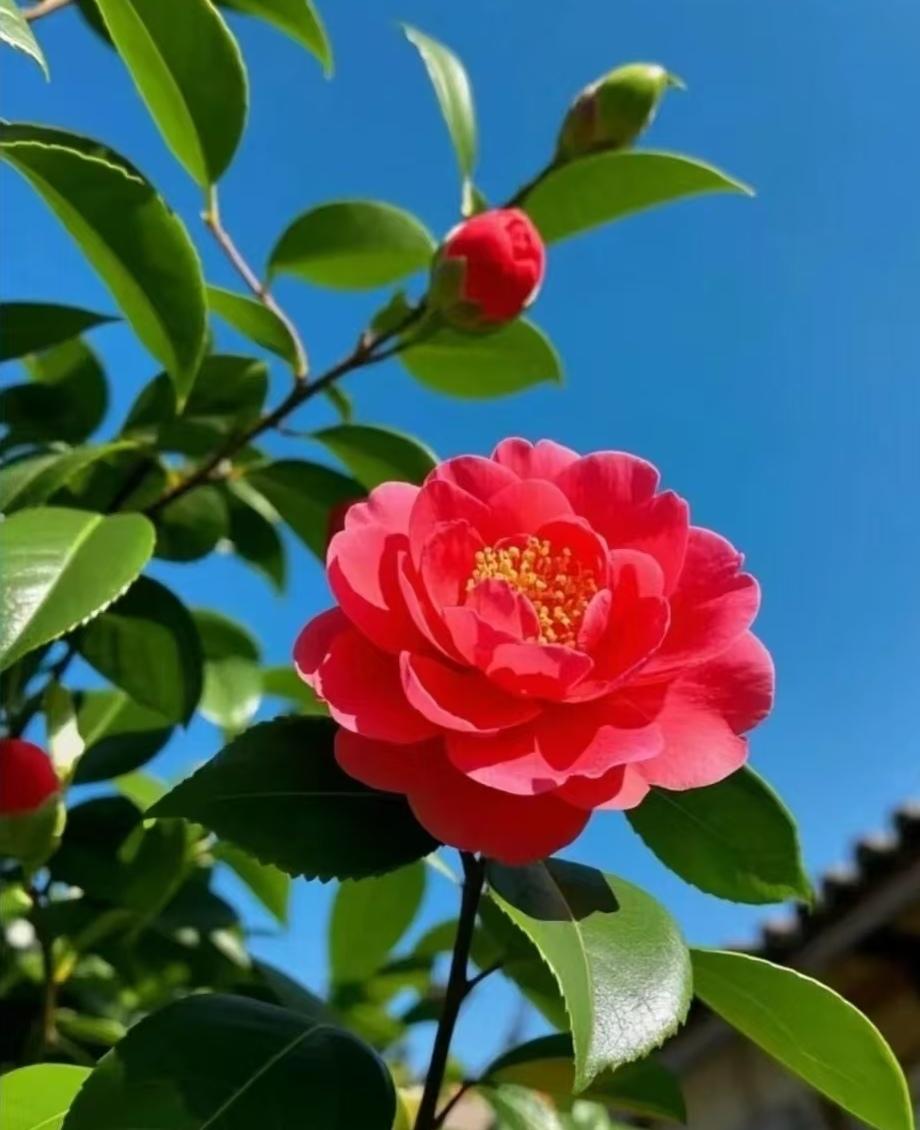 上联：人生苦短须珍重；念姐邀对上联：人生苦短须珍重，下联：来日方长自从容。（图片
