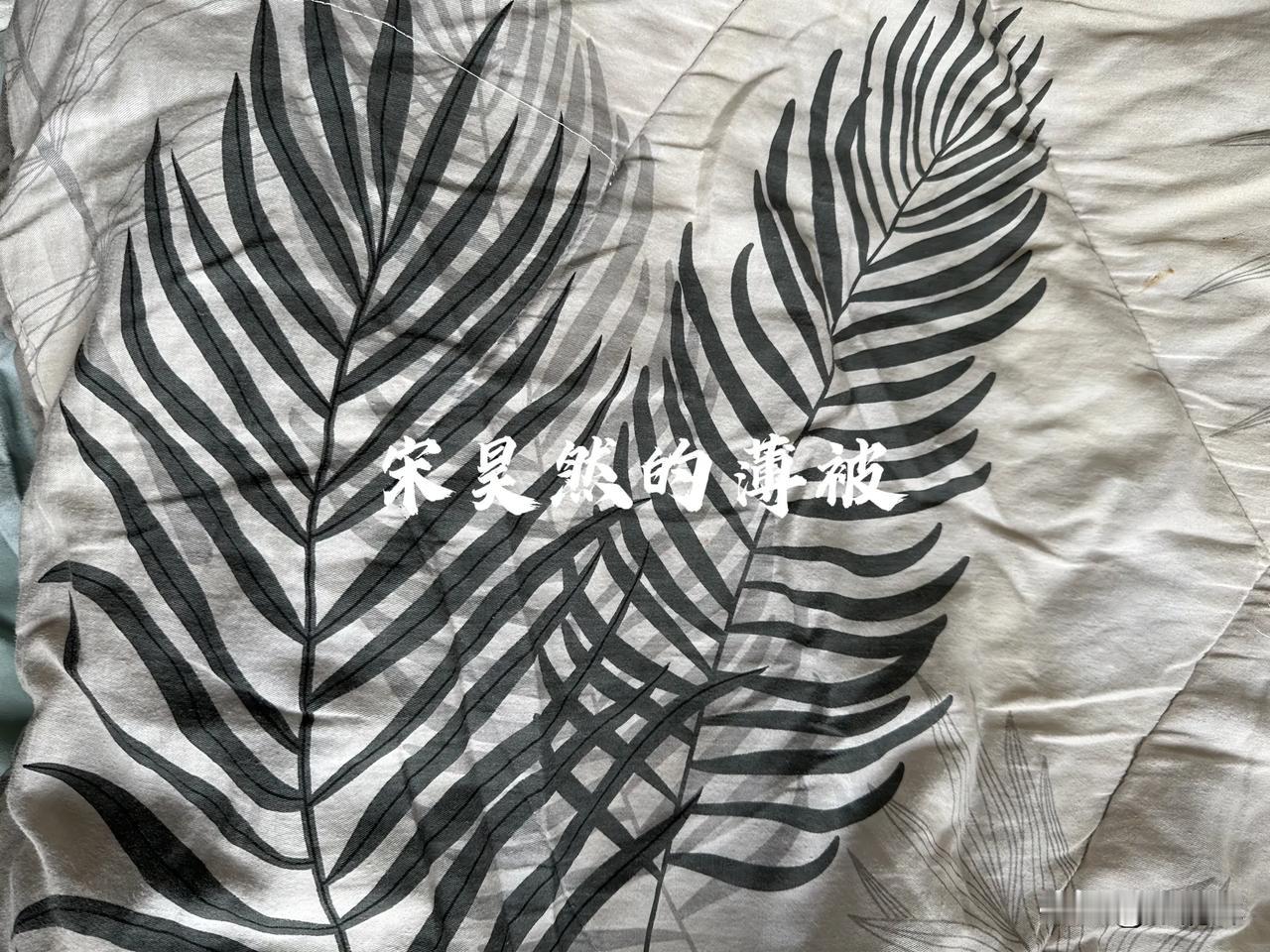 （1114）：孩子，早上好。今年深圳估计又是一个暖冬，晚上盖着你的一条薄被，能够