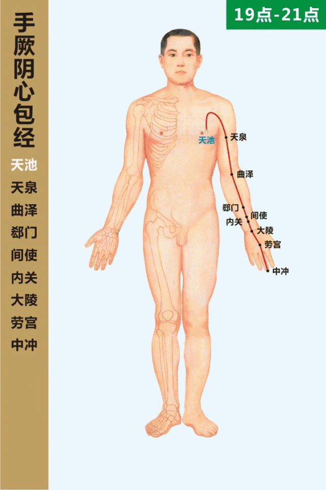 #如何拍打心包经#心包经的具体位置在哪里？怎么拍打才能达到最佳的养心效果？心包经