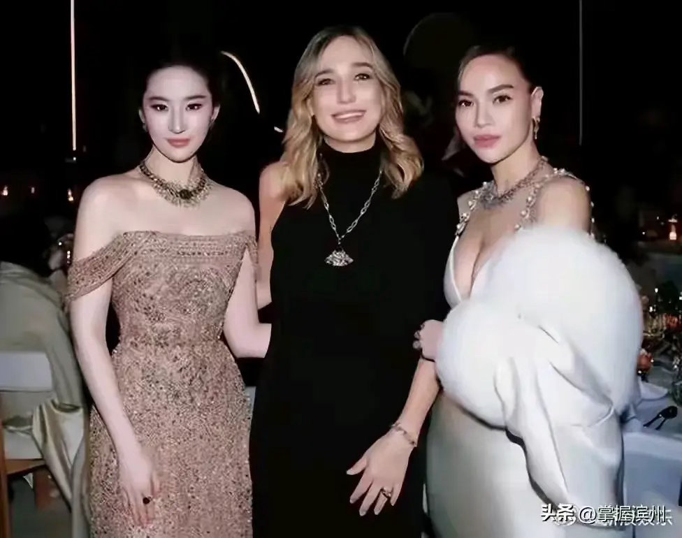 刘亦菲又登上热搜了，虽然没得过啥大奖，但是这影响力还是有的，宝格丽晚宴合影直接裁