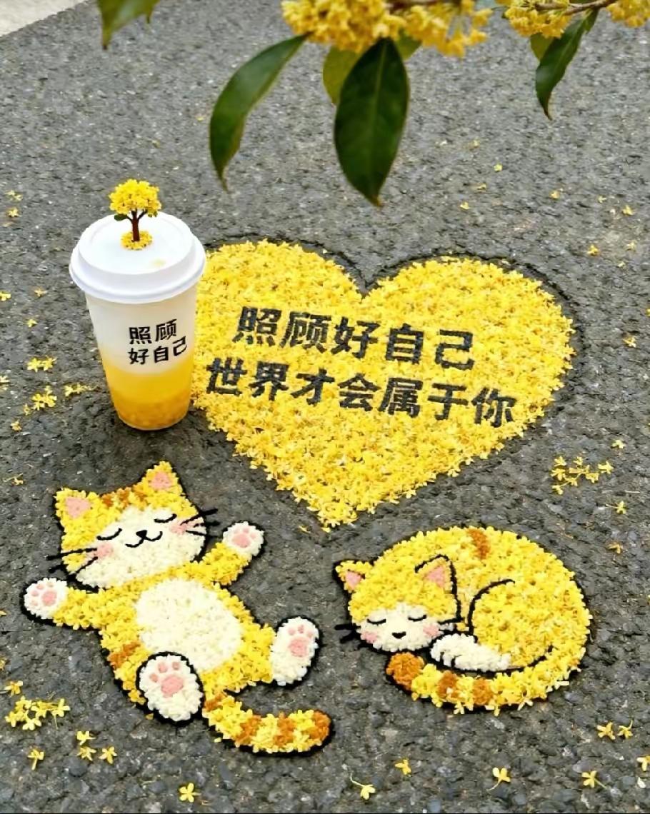 浅秋与夏末

[玫瑰][心][玫瑰]

立秋了，说它是浅秋，不如说是夏末的尾巴，