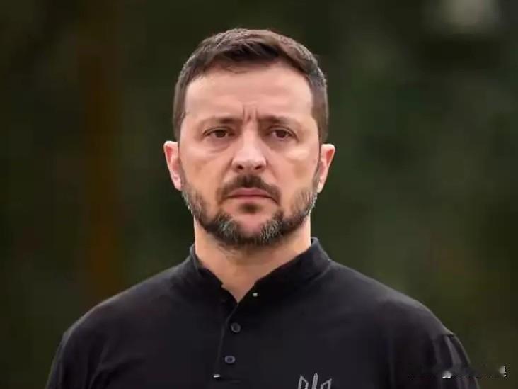 刚刚
乌克兰总统泽连斯基
喊话北约
这个冬天
乌克兰太冷太冷
你们
感觉到了吗