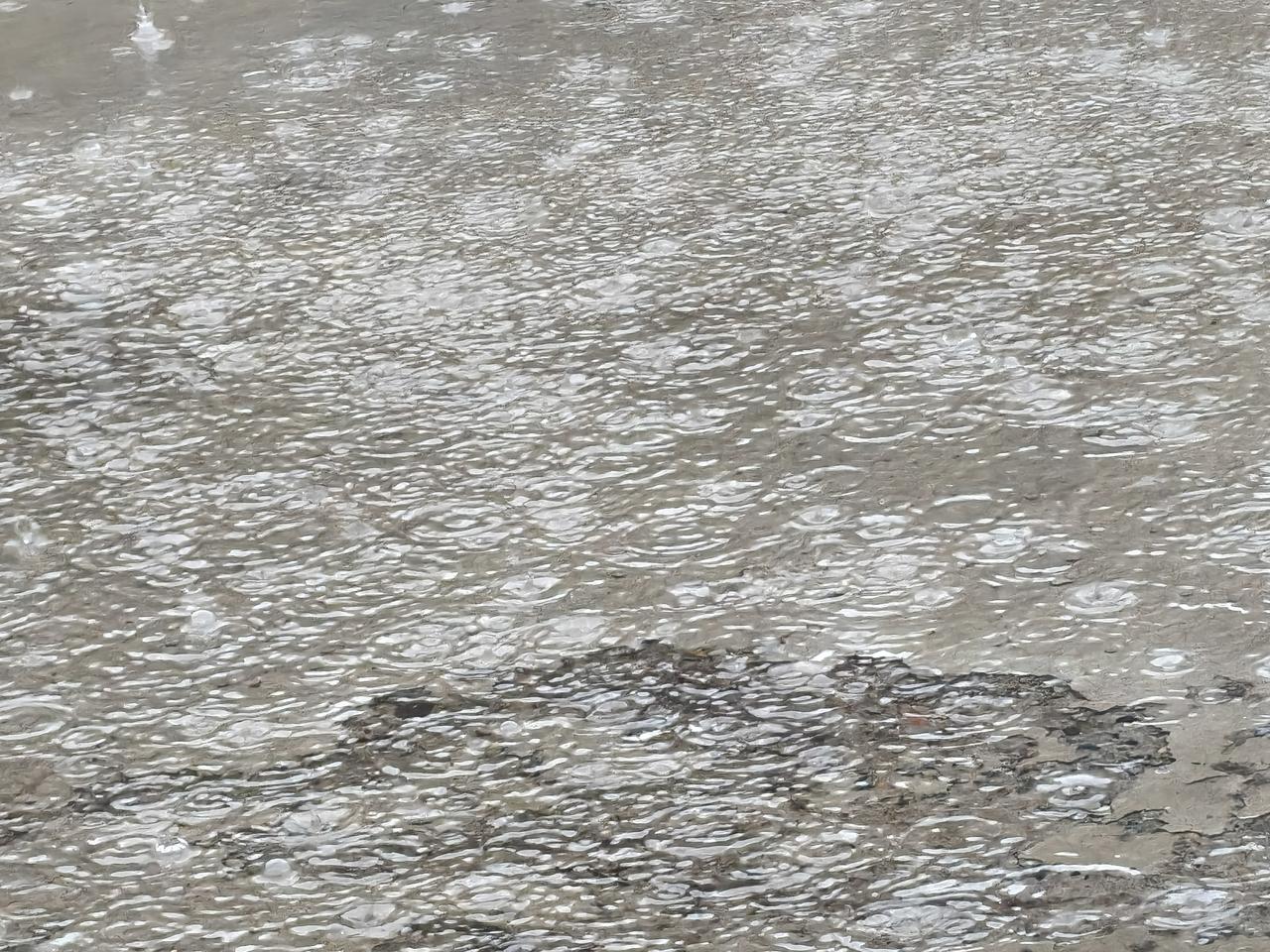 倾盆瓢泼大雨狂下起来了！
这几天的天气预报终于成真！
从夜中不知几点开始，天开始