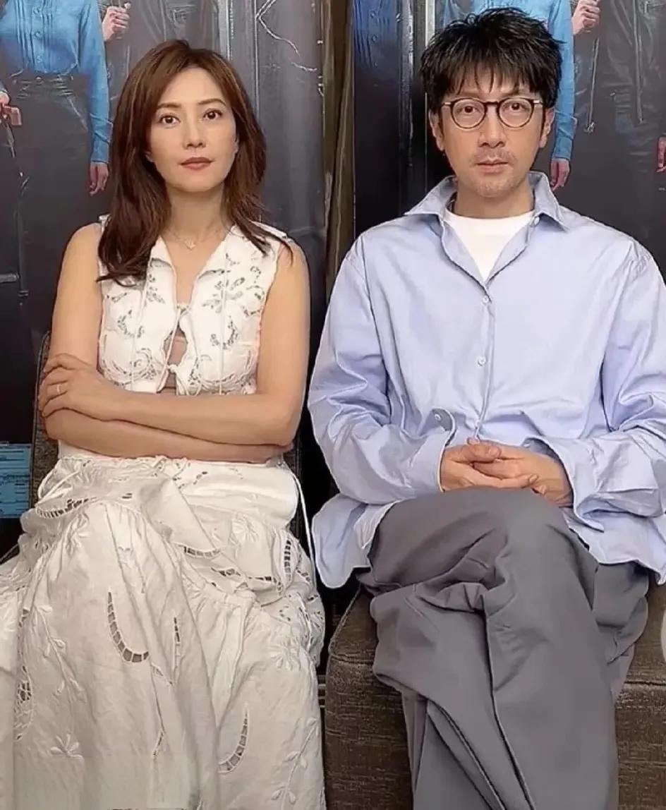 高圆圆、张鲁一领衔主演的家庭情感电视剧《完美伴侣》，我好喜欢看！高圆圆饰演陈珊，