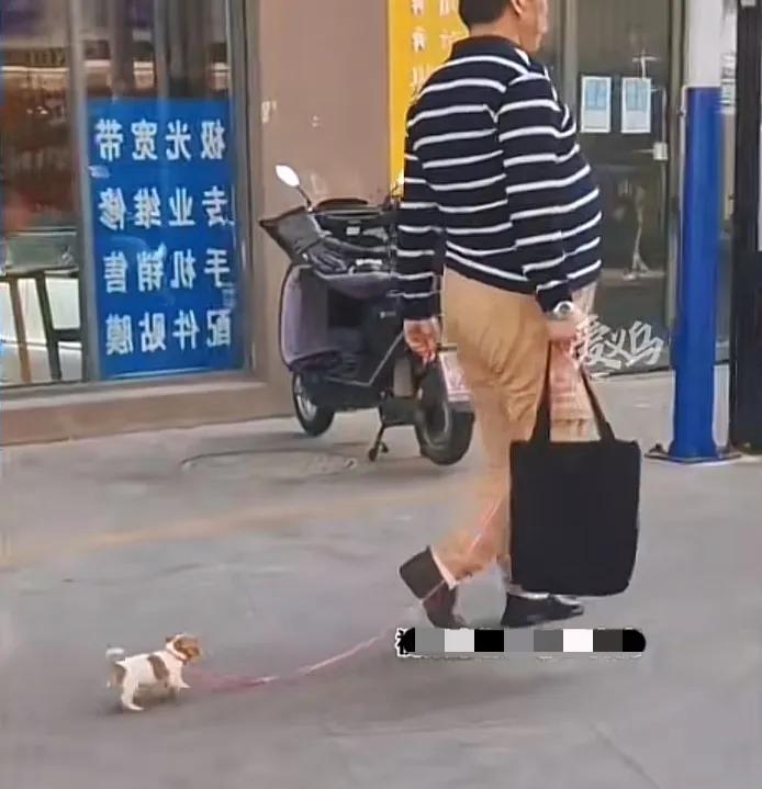 遛狗拴绳值得点赞[赞]