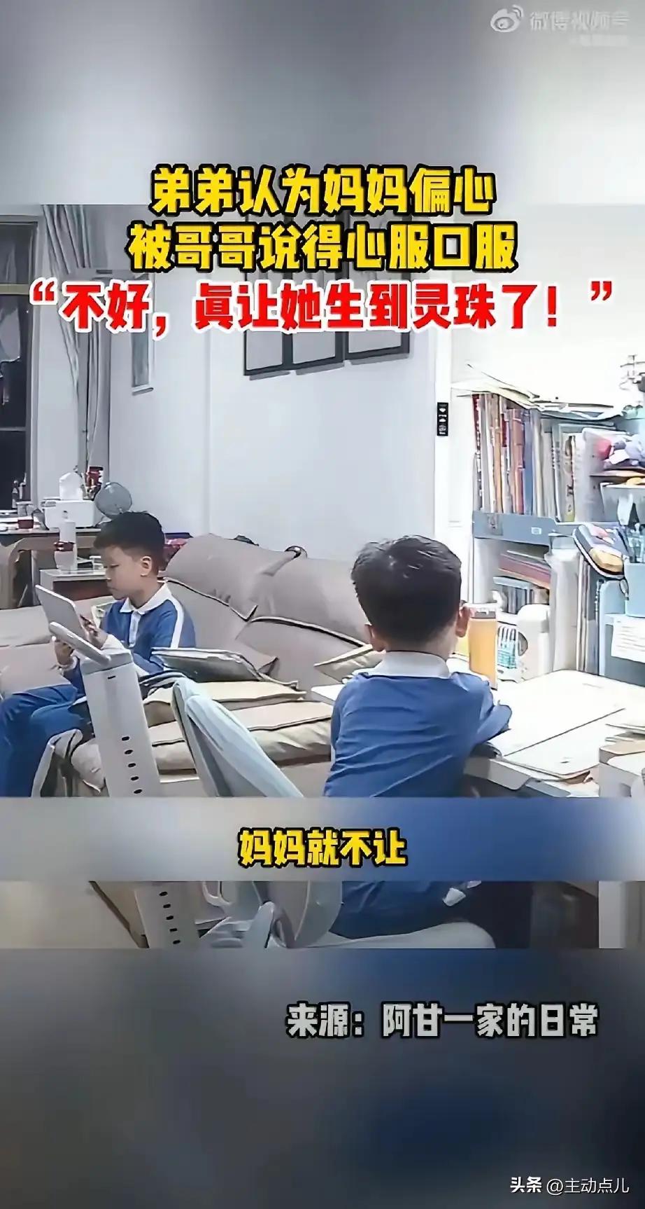 暖心的哥弟！

嫡长子的形象，往往在古籍史册中被描绘得庄重而威严，仿佛天生便肩负