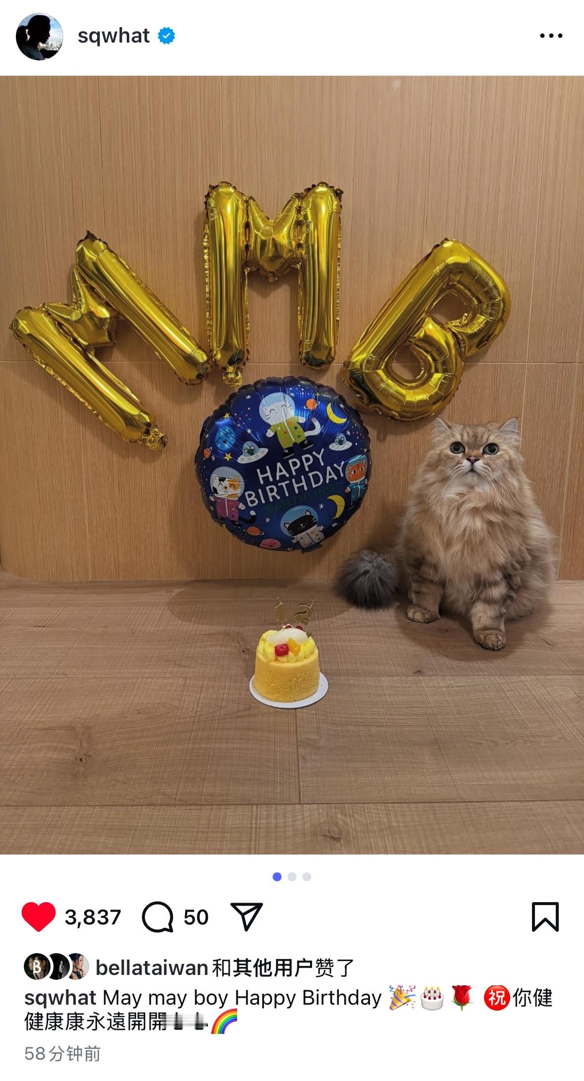 舒淇冯德伦帮猫小孩过生日🎂😺 ​​​