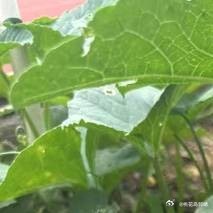 当放下执着、停止追求的那一刻，才发现自己已站在了寻觅已久的彼岸，愿将这段尘封的故