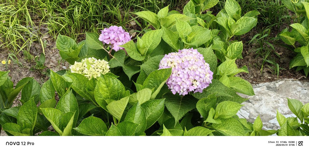 时间教我温柔而坚定，与生活慢慢周旋；岁月予我从容且清醒，和自己好好和解。