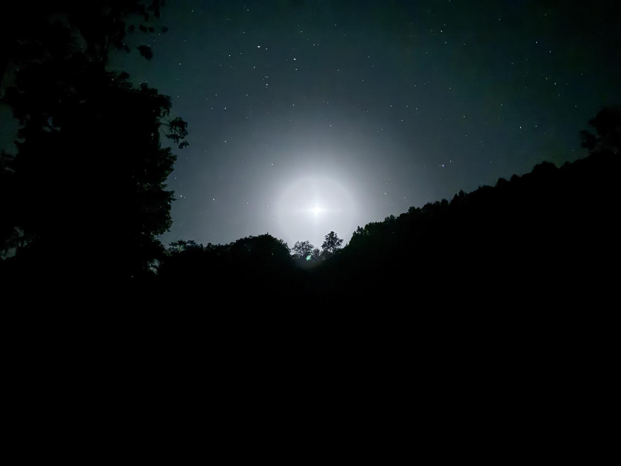 春日生活打卡季有月光，有星星，有虫鸣，有一份属于自己的安静！