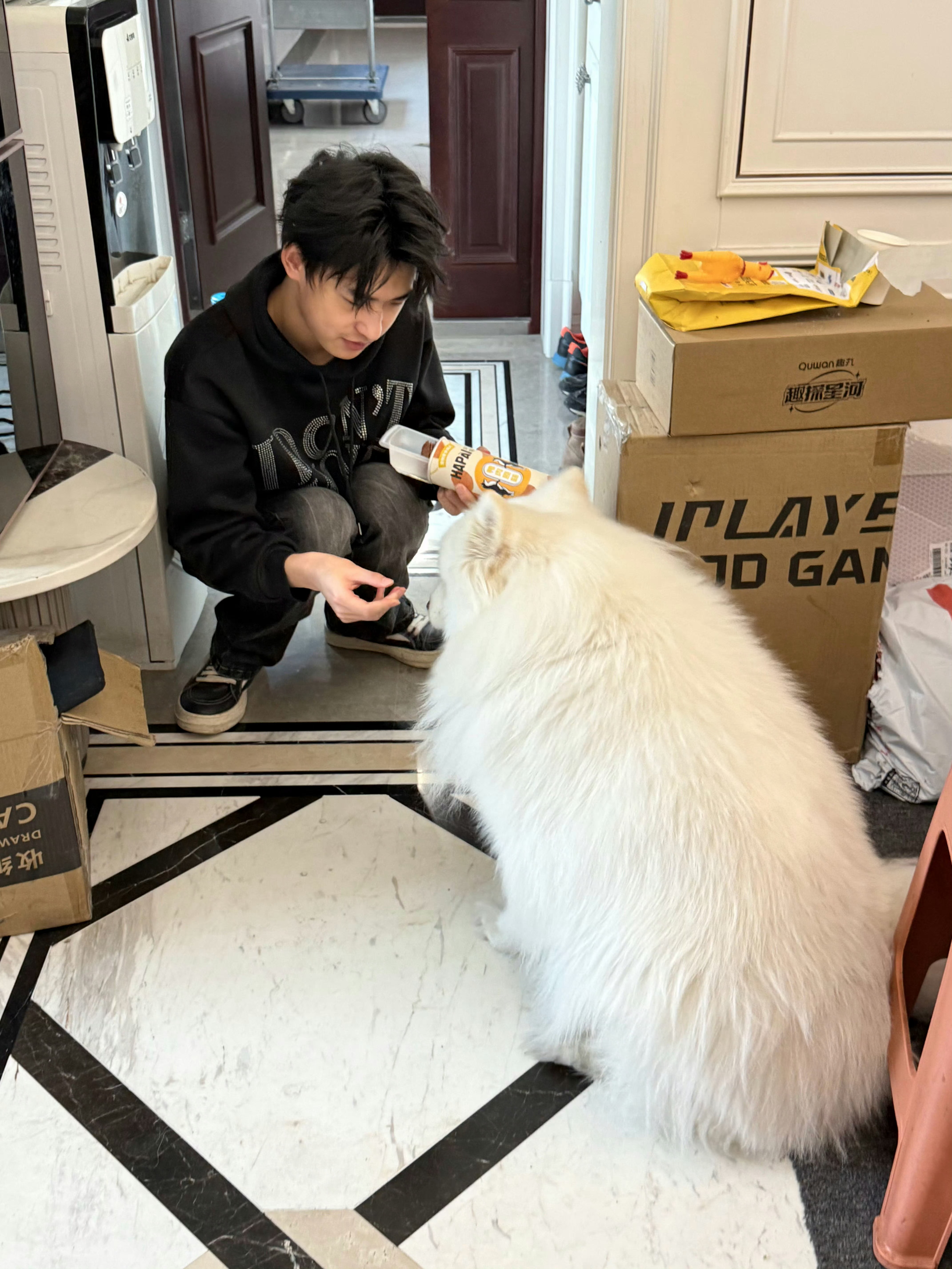 JDG和平精英  新弟弟来咯又被我们多肉迷住了2026pel