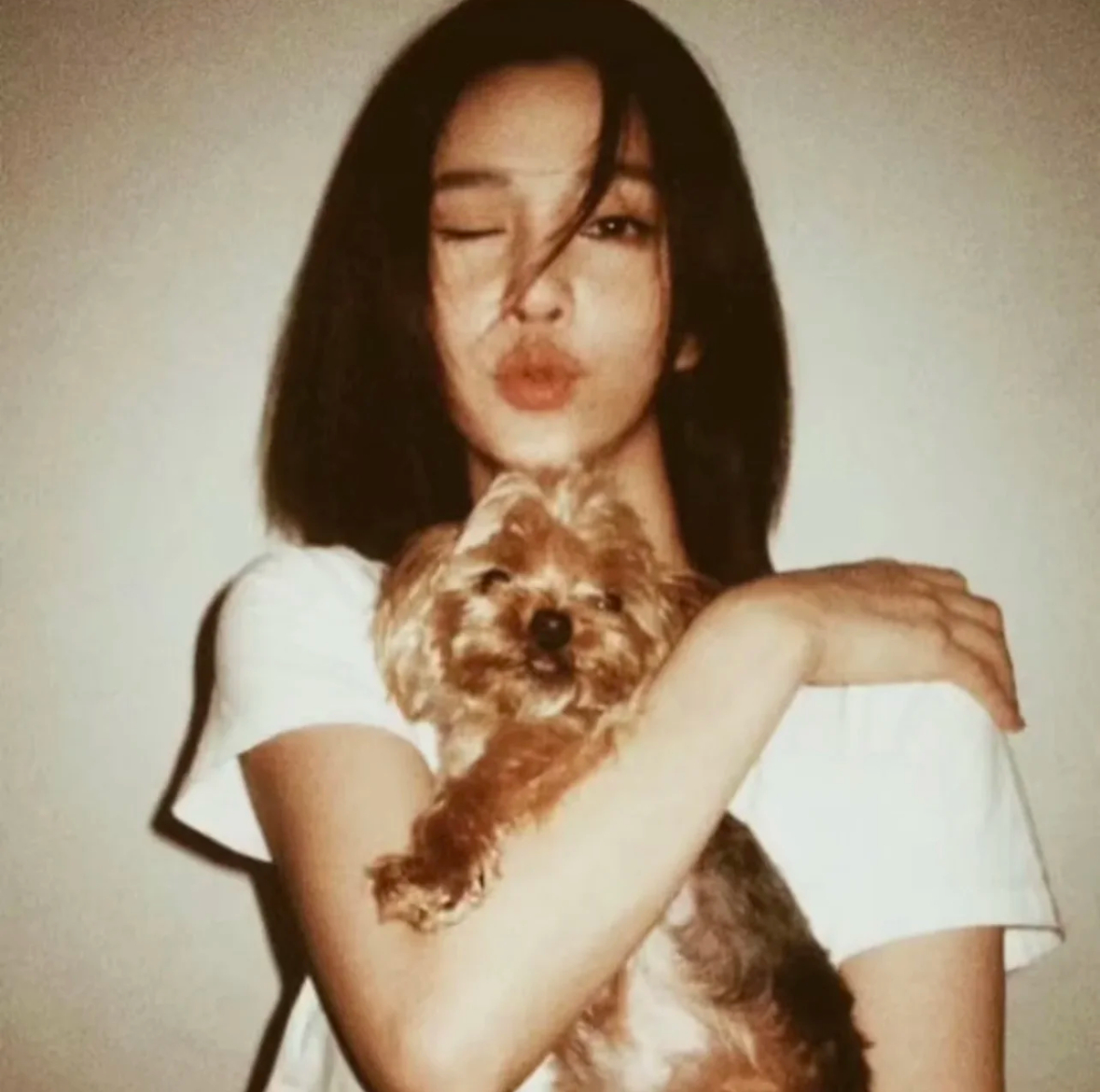 angelababy ​​​