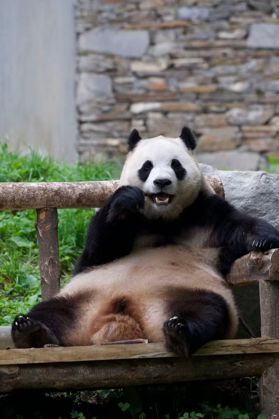 每天早起打卡早～ 