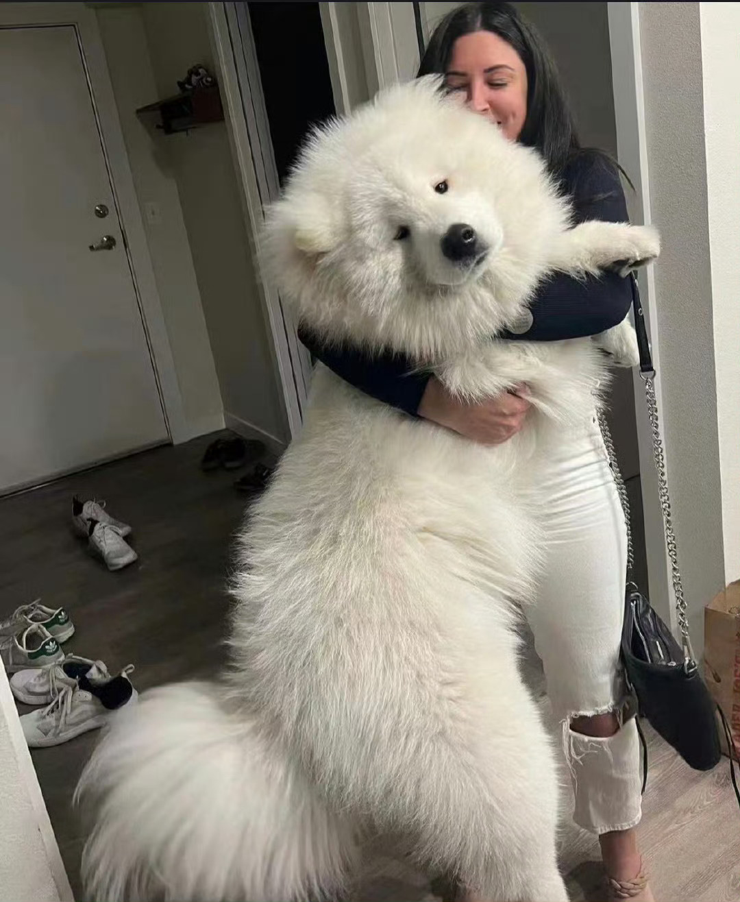 天冷耶耶成了抢手的冬季单品 