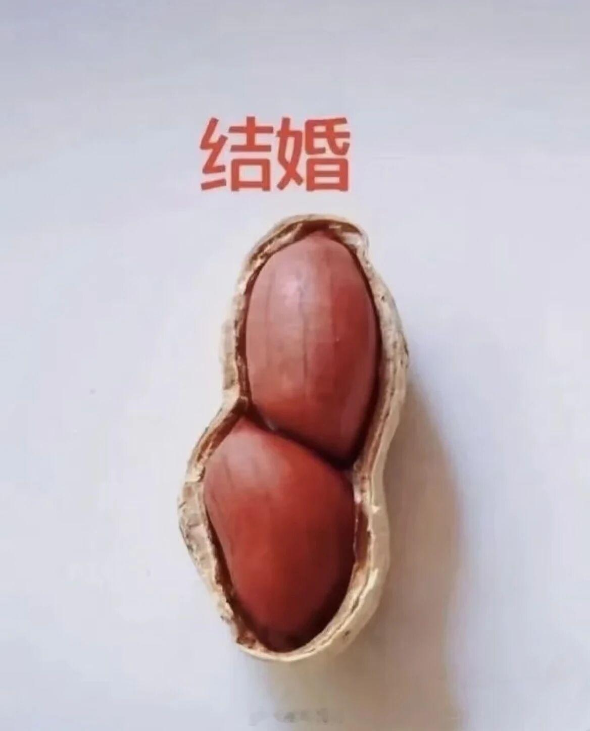 一颗花生写尽人生 