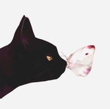 暖糯热玩科技