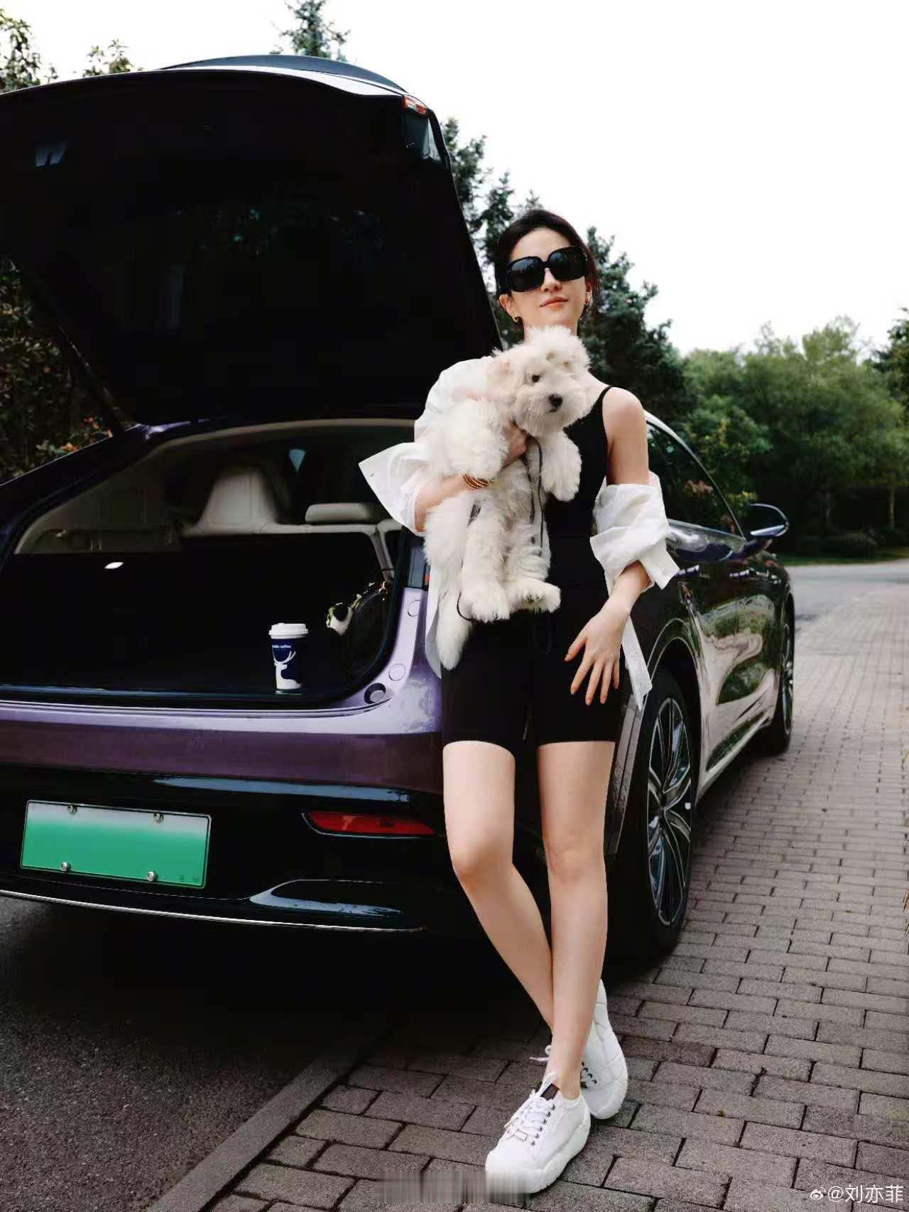 刘亦菲大年初一出游vlog今年春节期间高速堵车，我遇到了一位智界S7的车主，我们