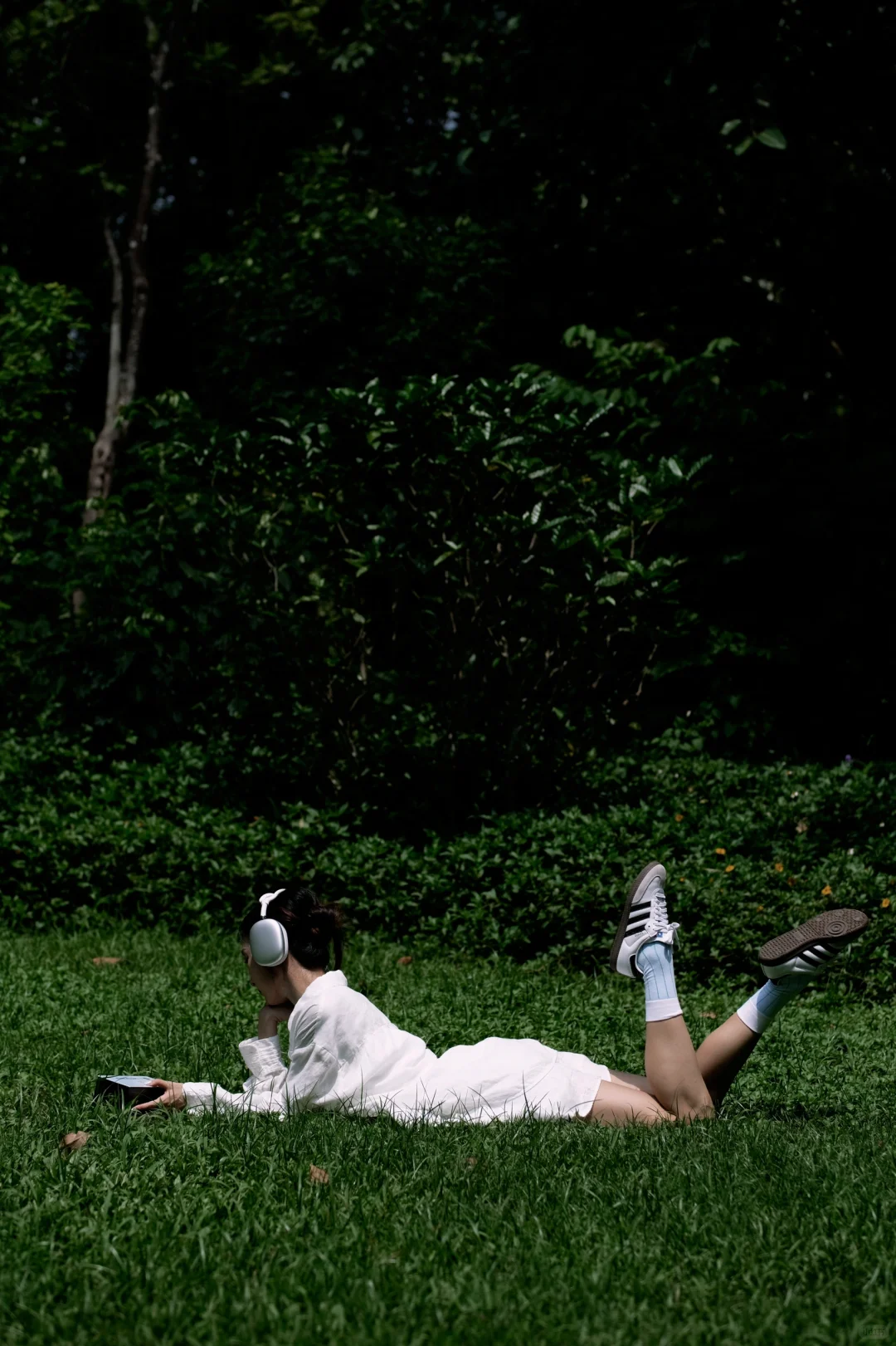 恢复能量｜试过了，公园20分钟效应是真的