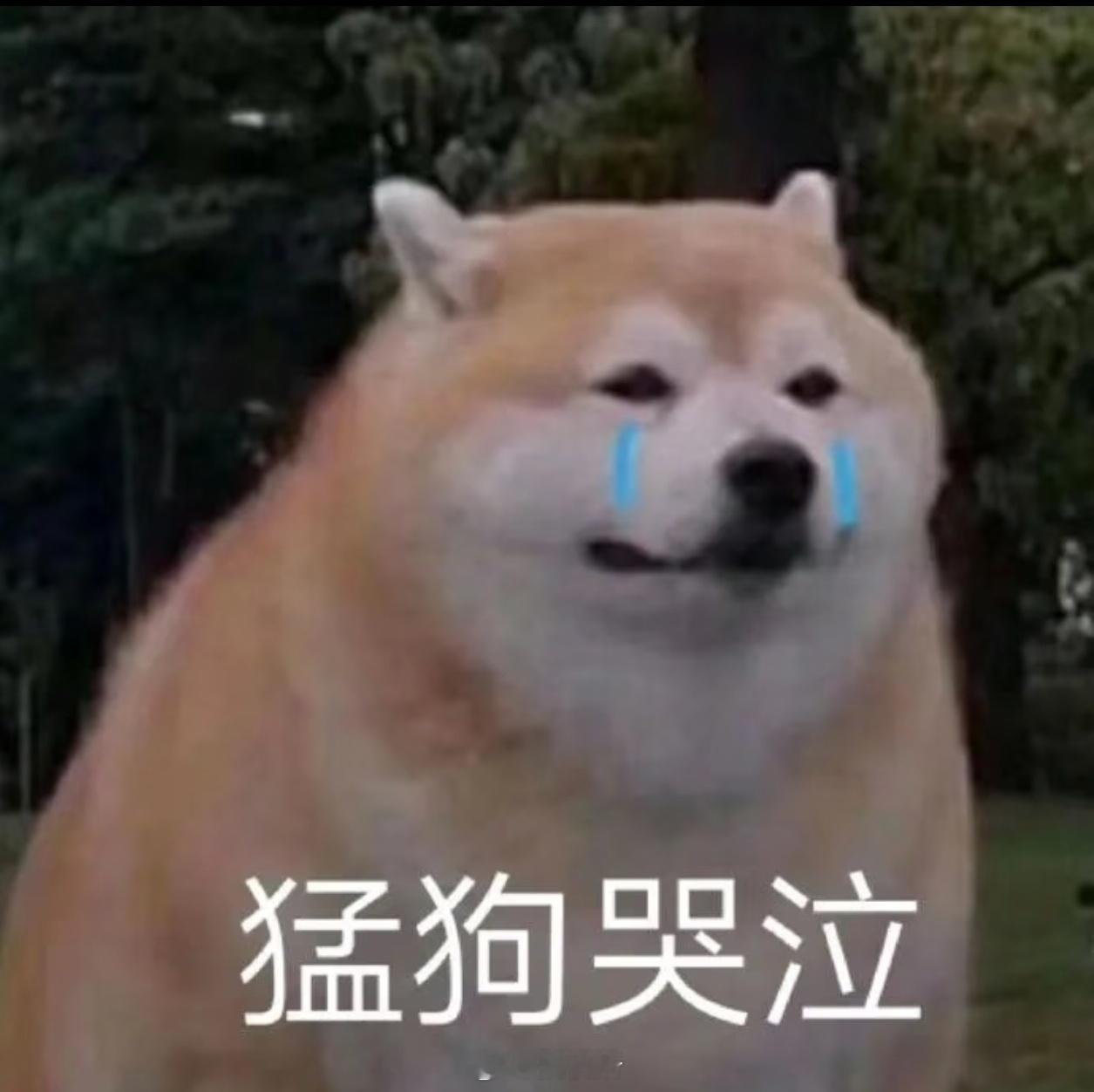 男子回看春节家人欢聚监控落泪春节就像一场热闹的梦，什么都没做时间就已经过去了