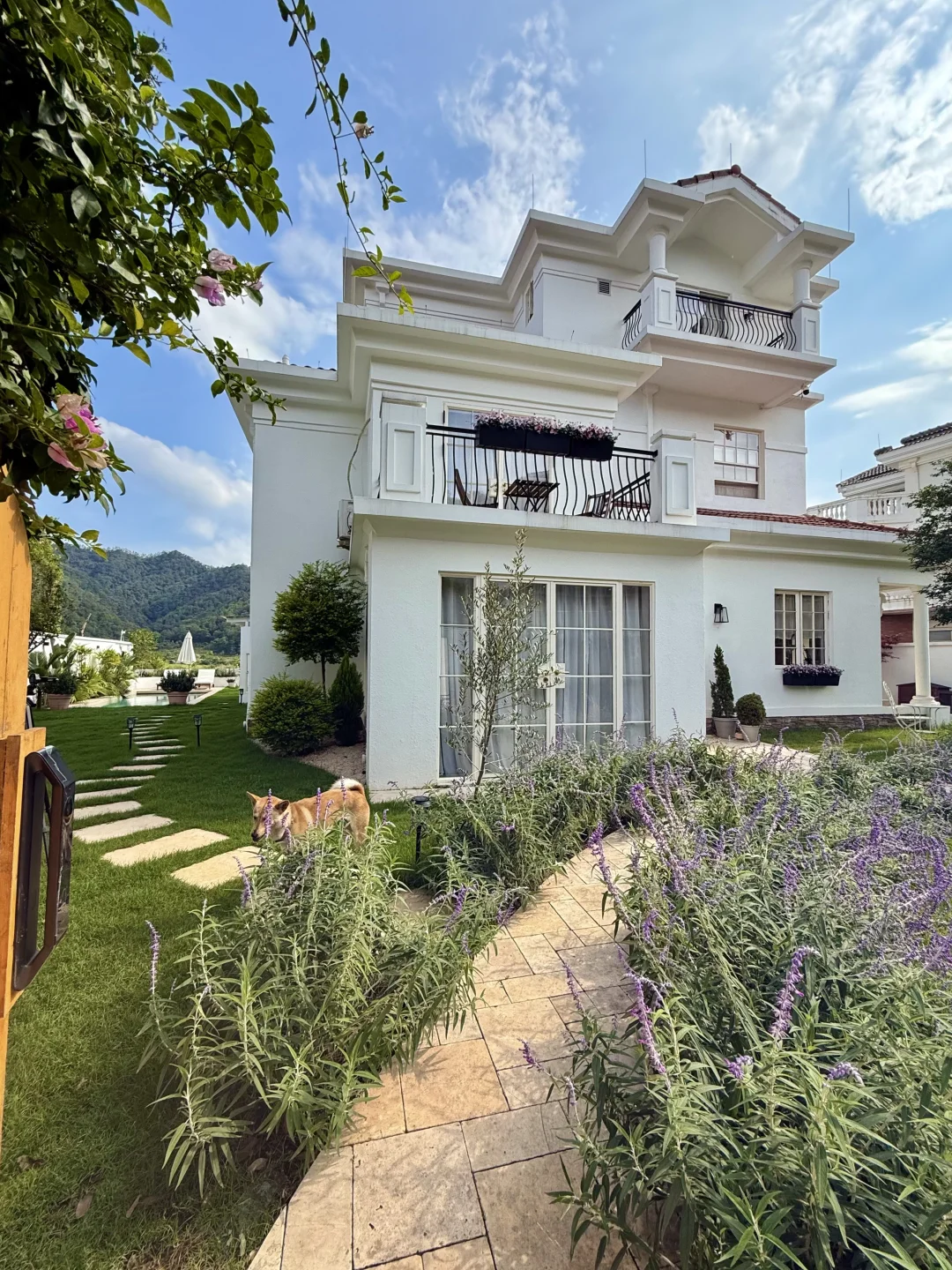 回到家😭感觉又满血复活了