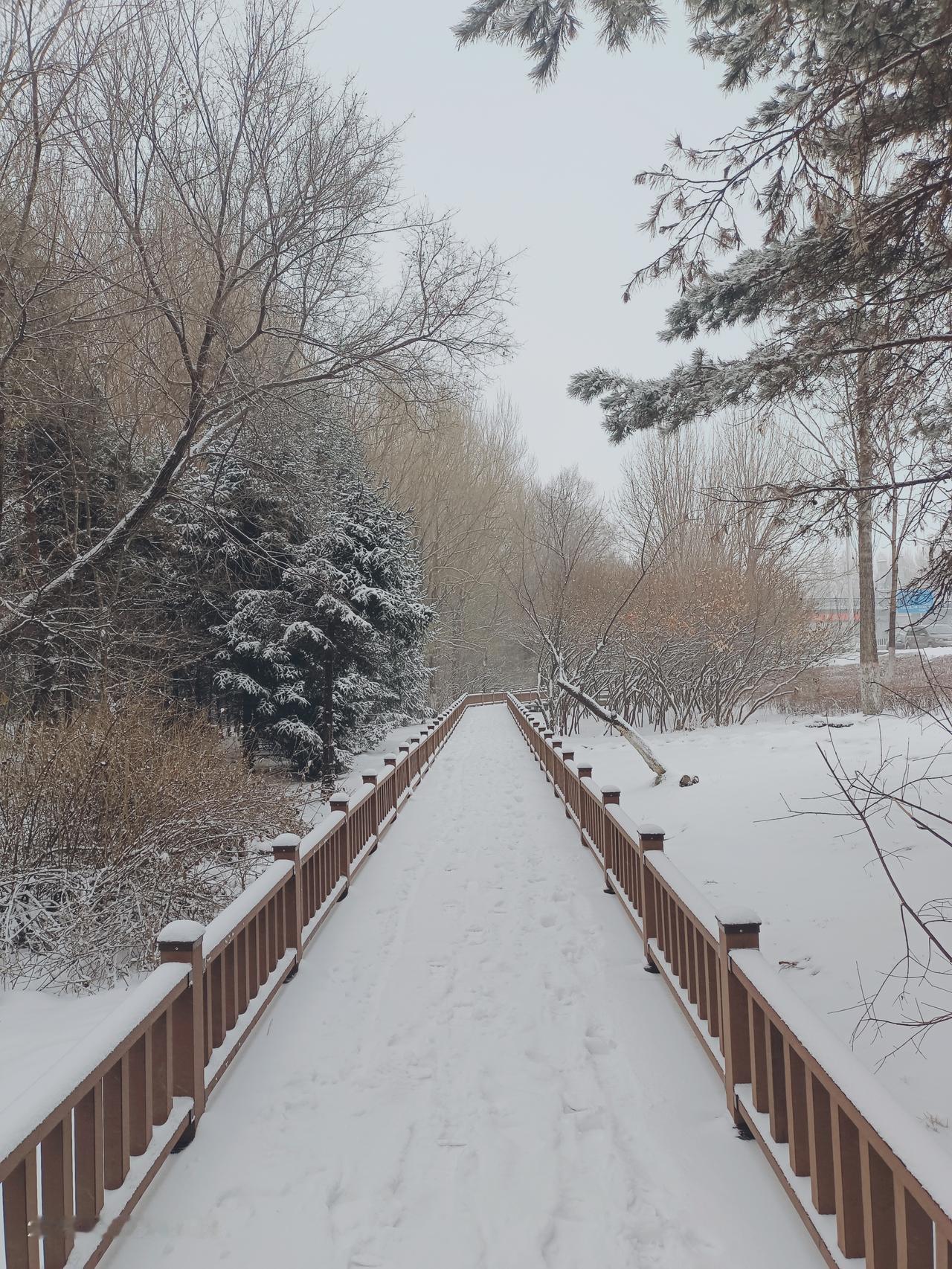 一件事，可以看见黑龙江的穷。
黑龙江齐齐哈尔组织未成年人9年涉黄涉黑，得到赃款3