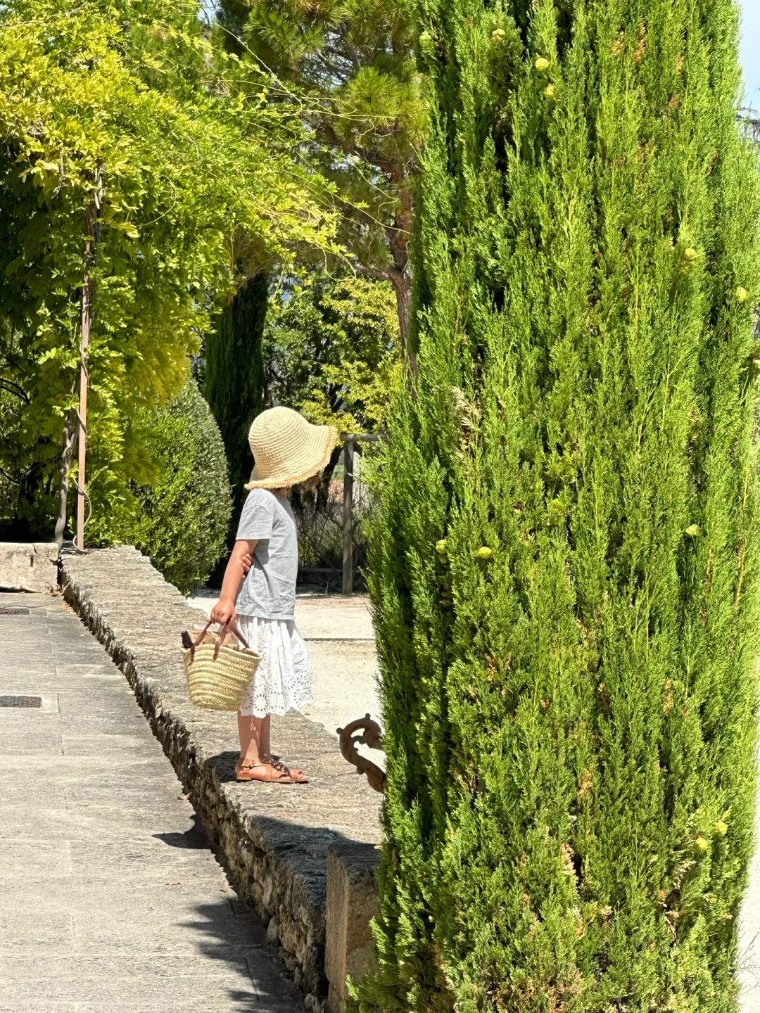 Summertime Sweetness