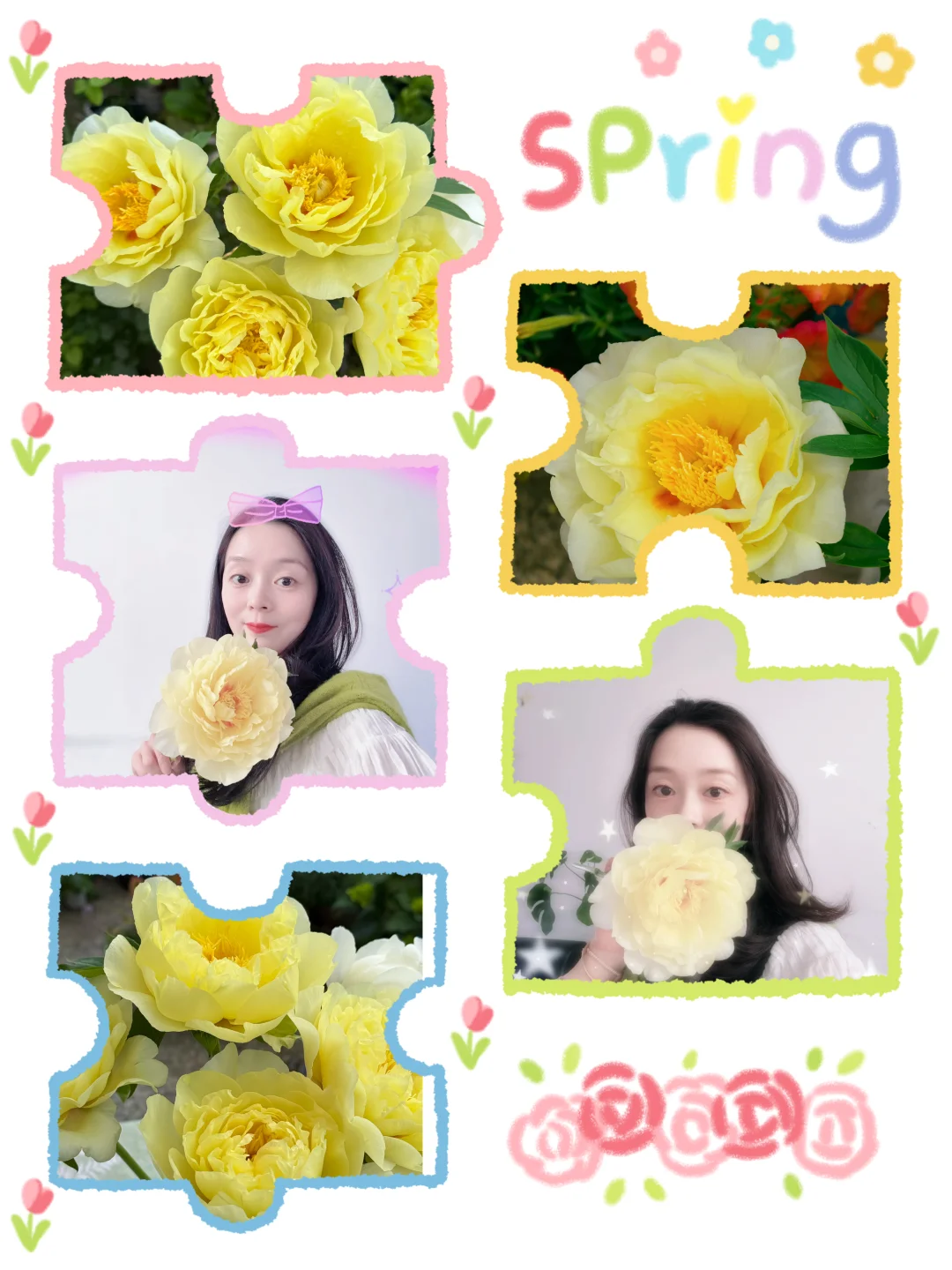 芍药🥰芭次拉