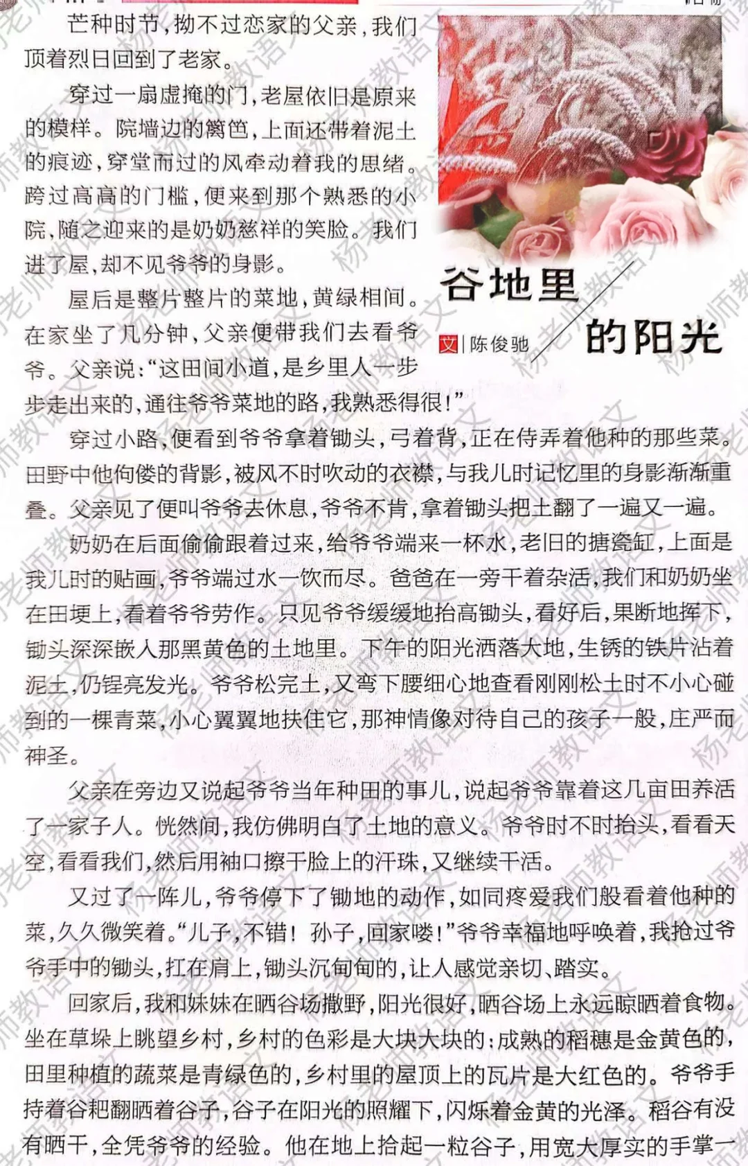 谷地里的阳光 ：素材小众 情感真挚