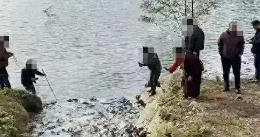 官方澄清“都江堰水库被放生埃及塘鲺”