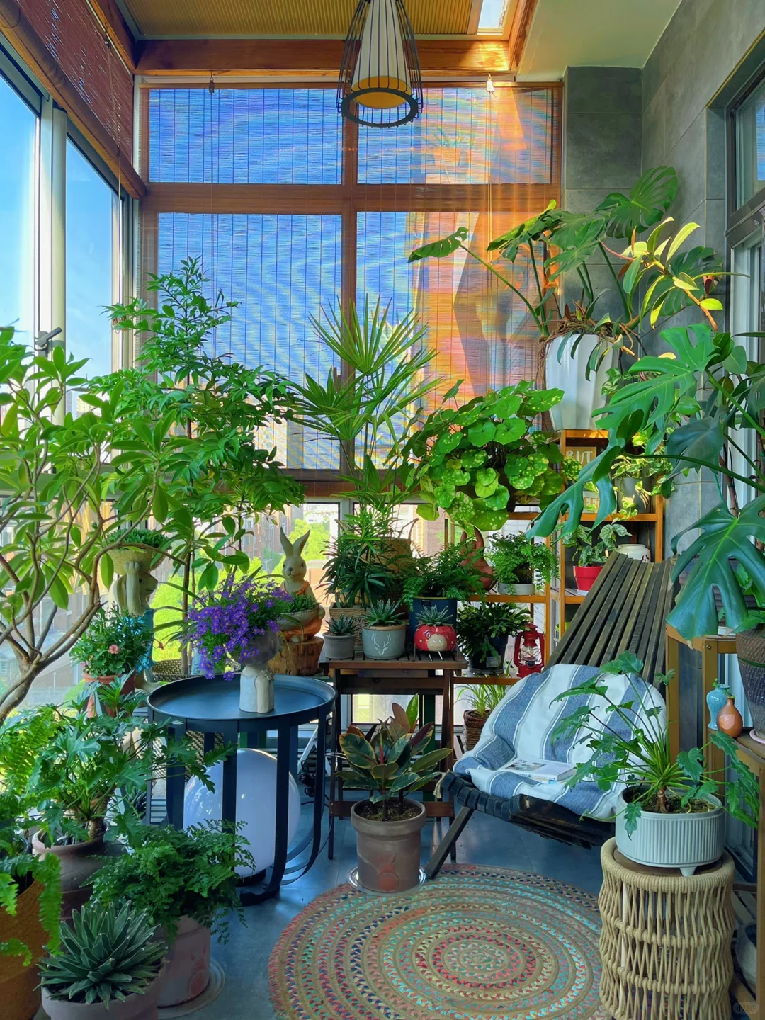 把喝奶茶的💰省下来种花～意外变成了小森林