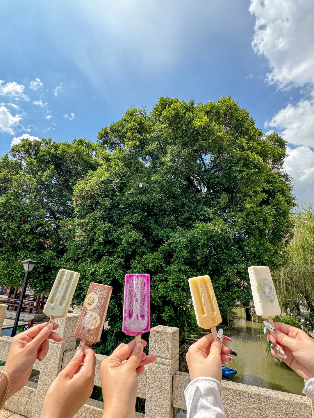 最近古城风很大的冰棒谁还没吃过