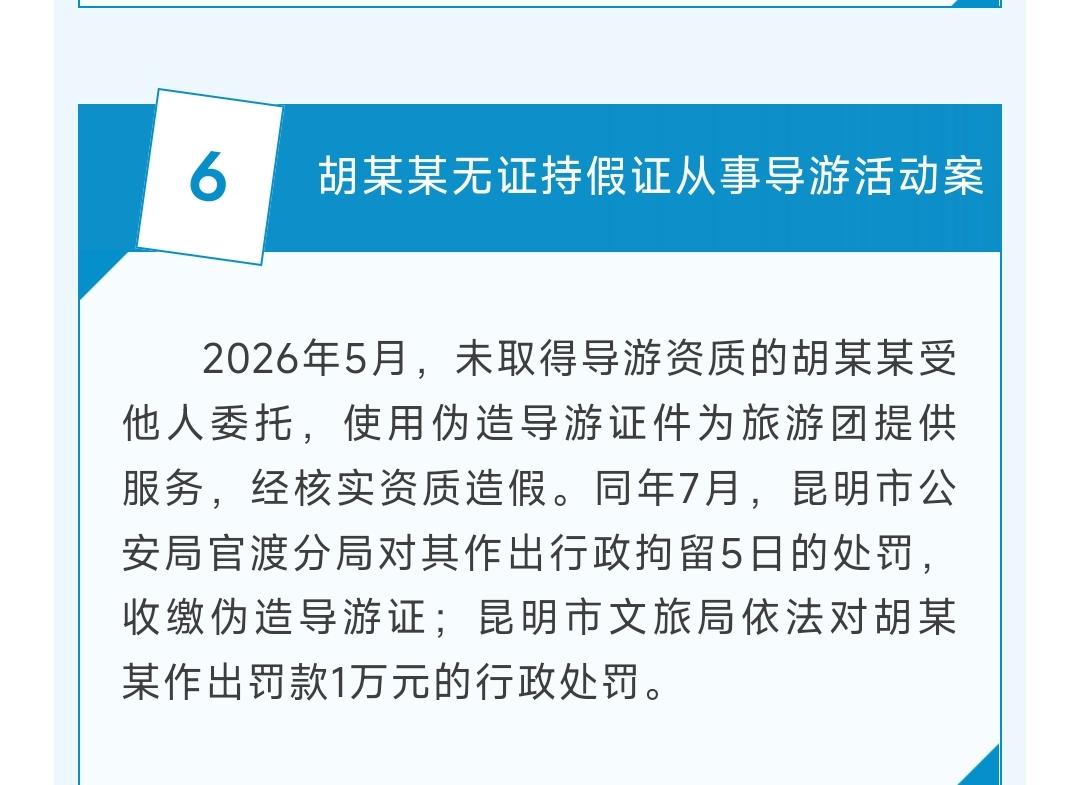 2026年5月，未取得导游资质的胡某某受他人委托，使用伪造导游证件为旅游团提供服