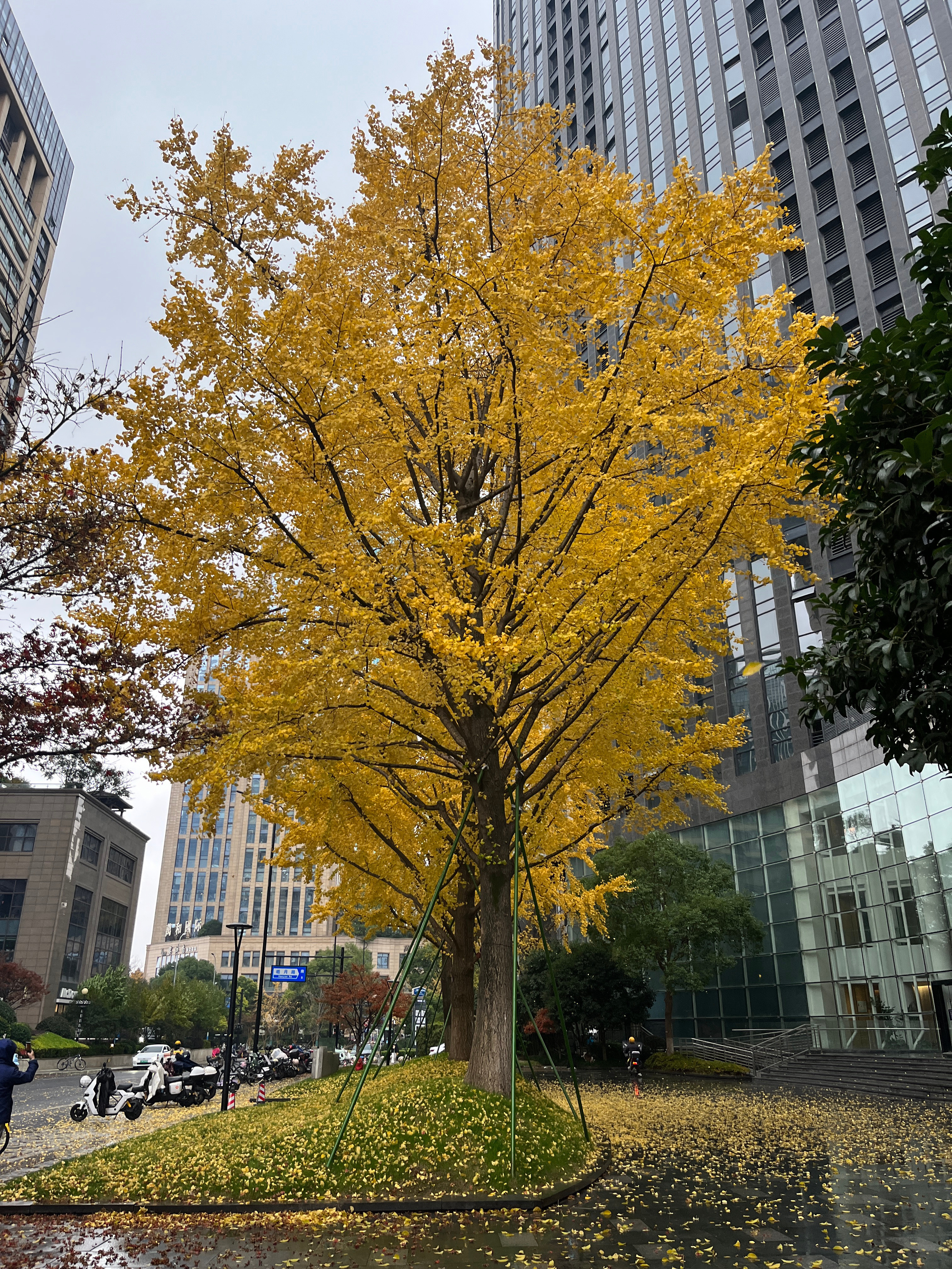 环境，身心状态，情绪感受其实这些都挺影响一个人心情的但是真遇着情感问题的朋友们普