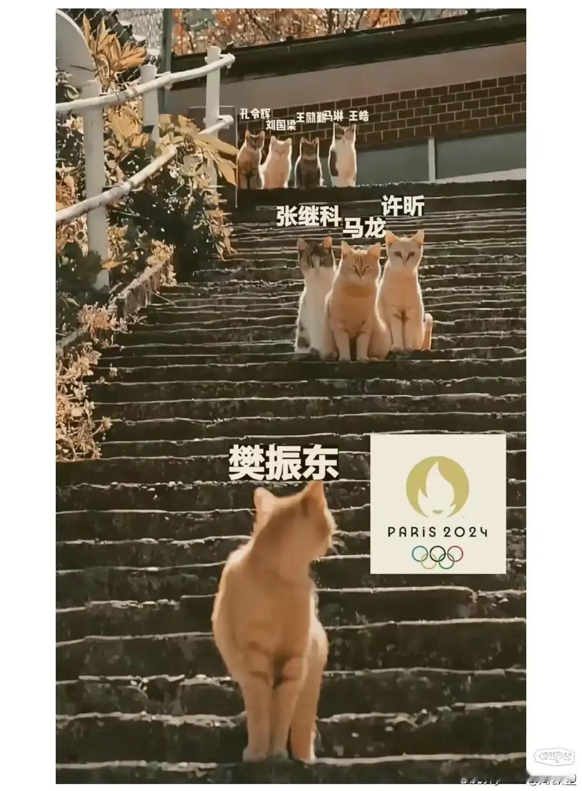 巴黎奥运会结束后，马龙对樊振东说: 希望你下届还在 ​​​