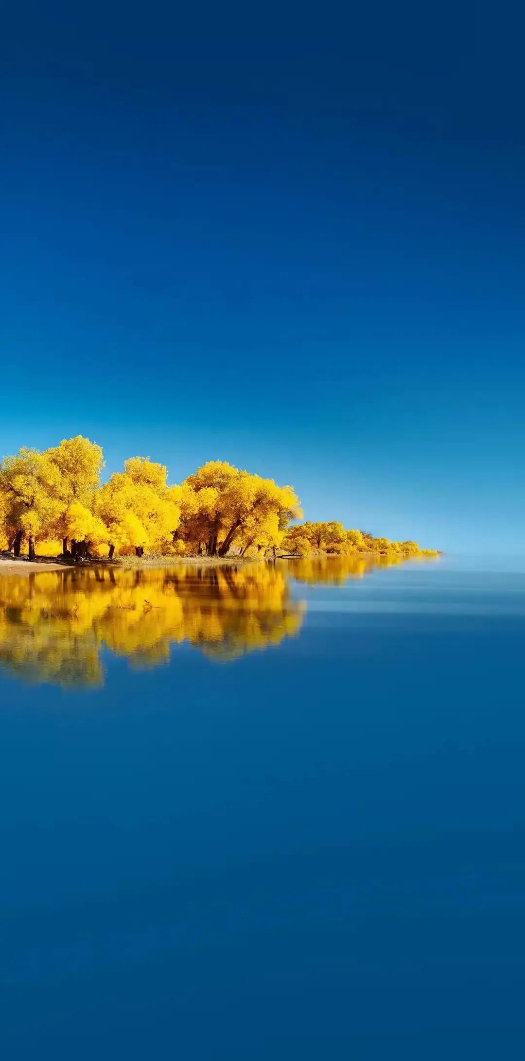 柔式spa为什么这么火？因为他用一块遮羞布把很多老男人给盖住了。
我在后台收到一