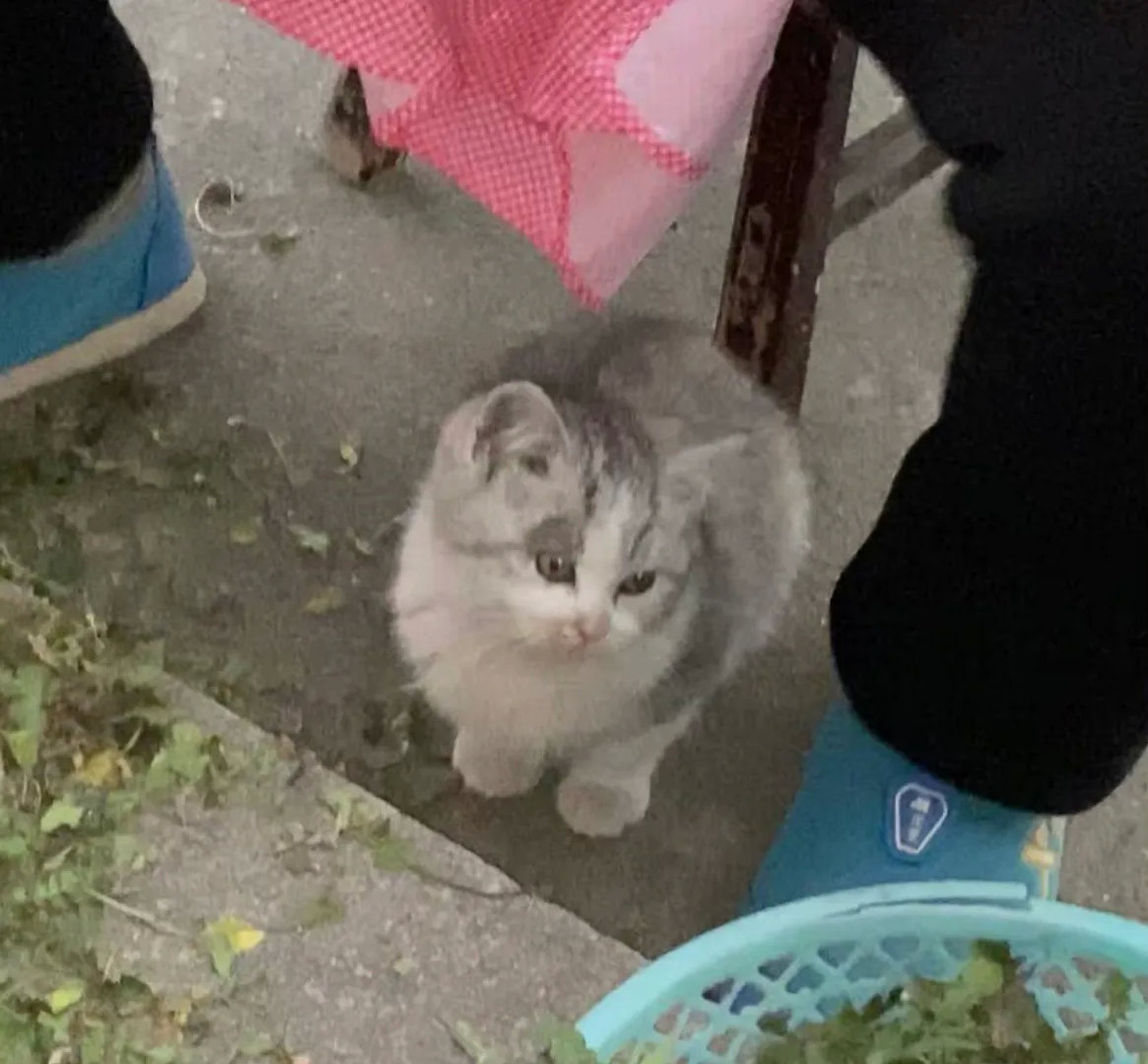 来自奶奶厚重的爱……