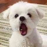 晋读读音乐